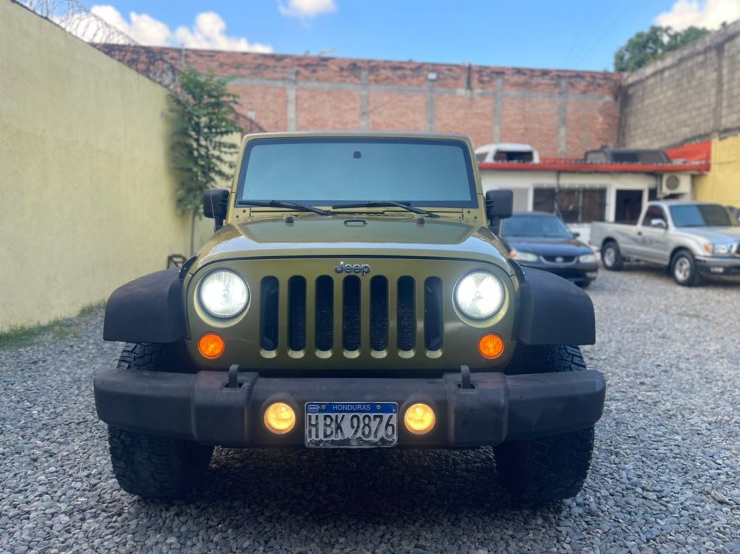 WhatsApp Image 2026-02-13 at 7.14.08 PM