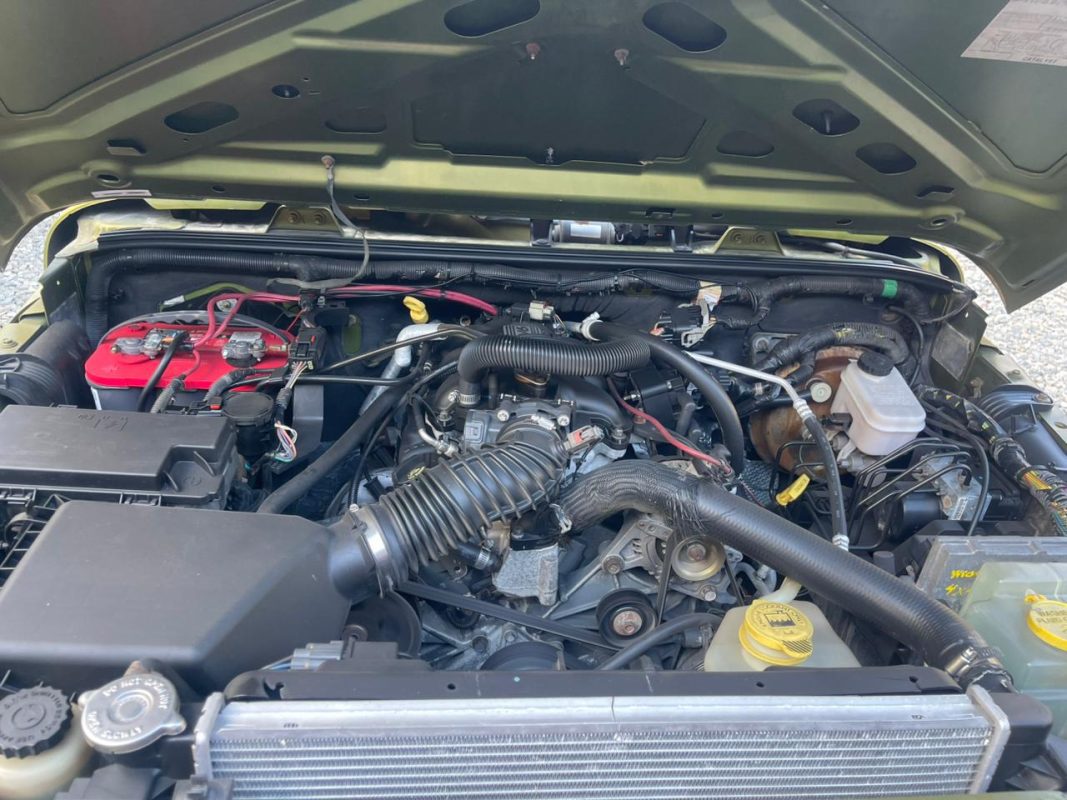 WhatsApp Image 2026-02-13 at 7.14.18 PM