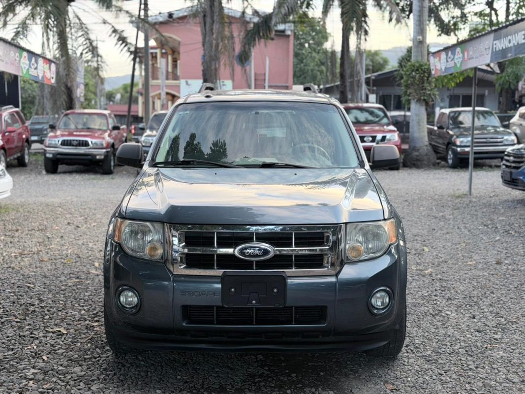 WhatsApp Image 2026-02-13 at 7.37.18 PM (1)