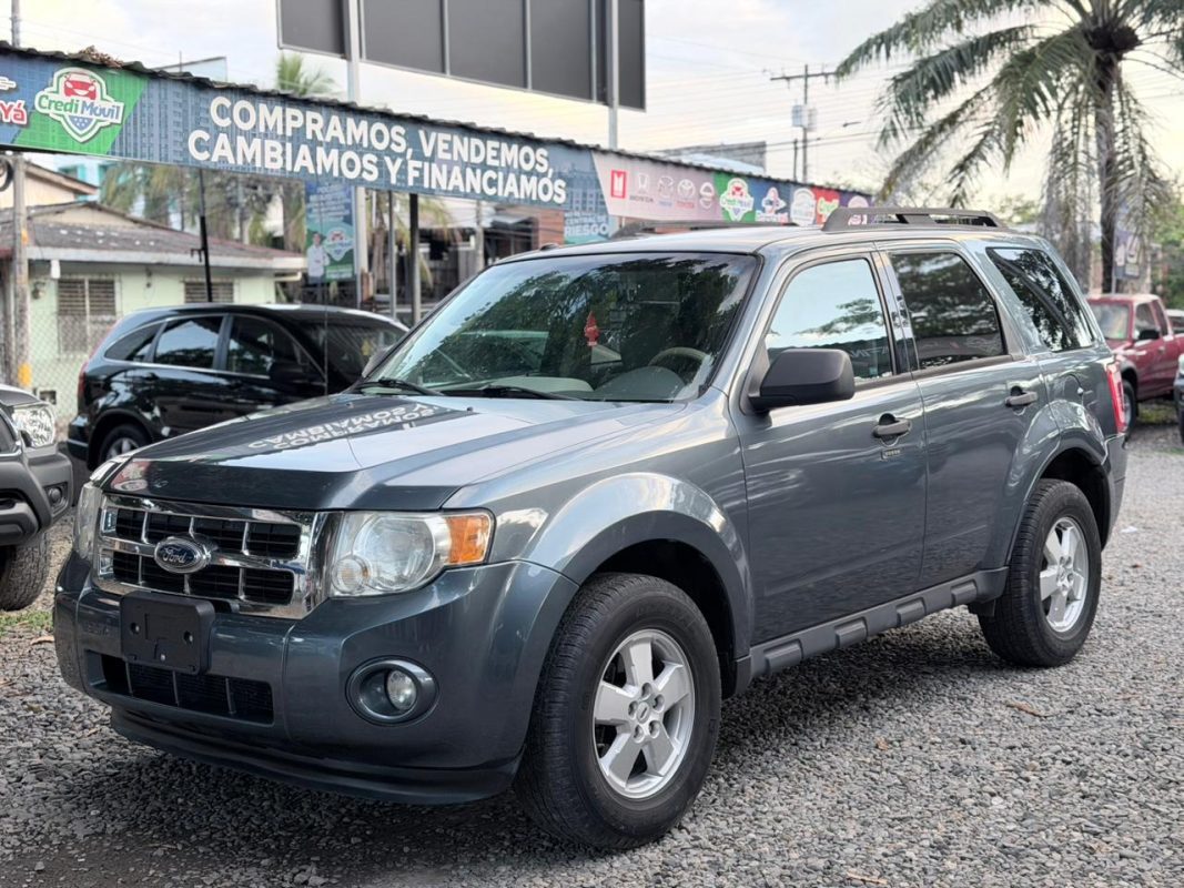 WhatsApp Image 2026-02-13 at 7.37.18 PM