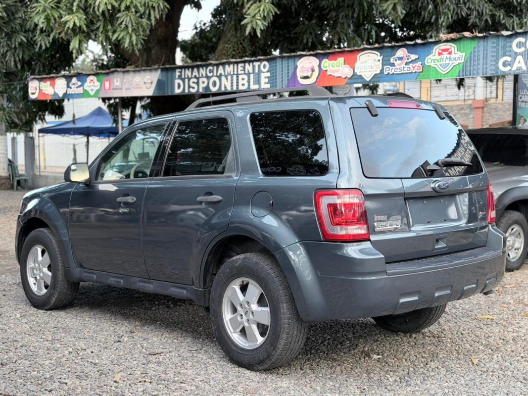 WhatsApp Image 2026-02-13 at 7.37.19 PM