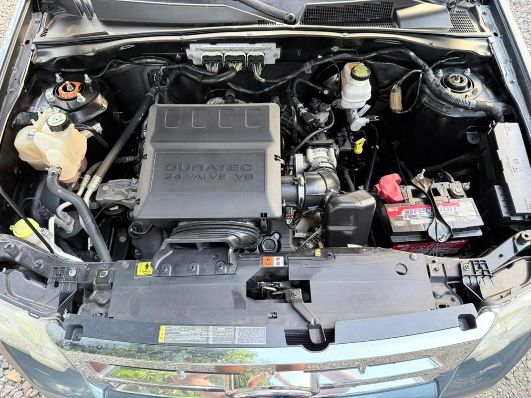 WhatsApp Image 2026-02-13 at 7.37.20 PM