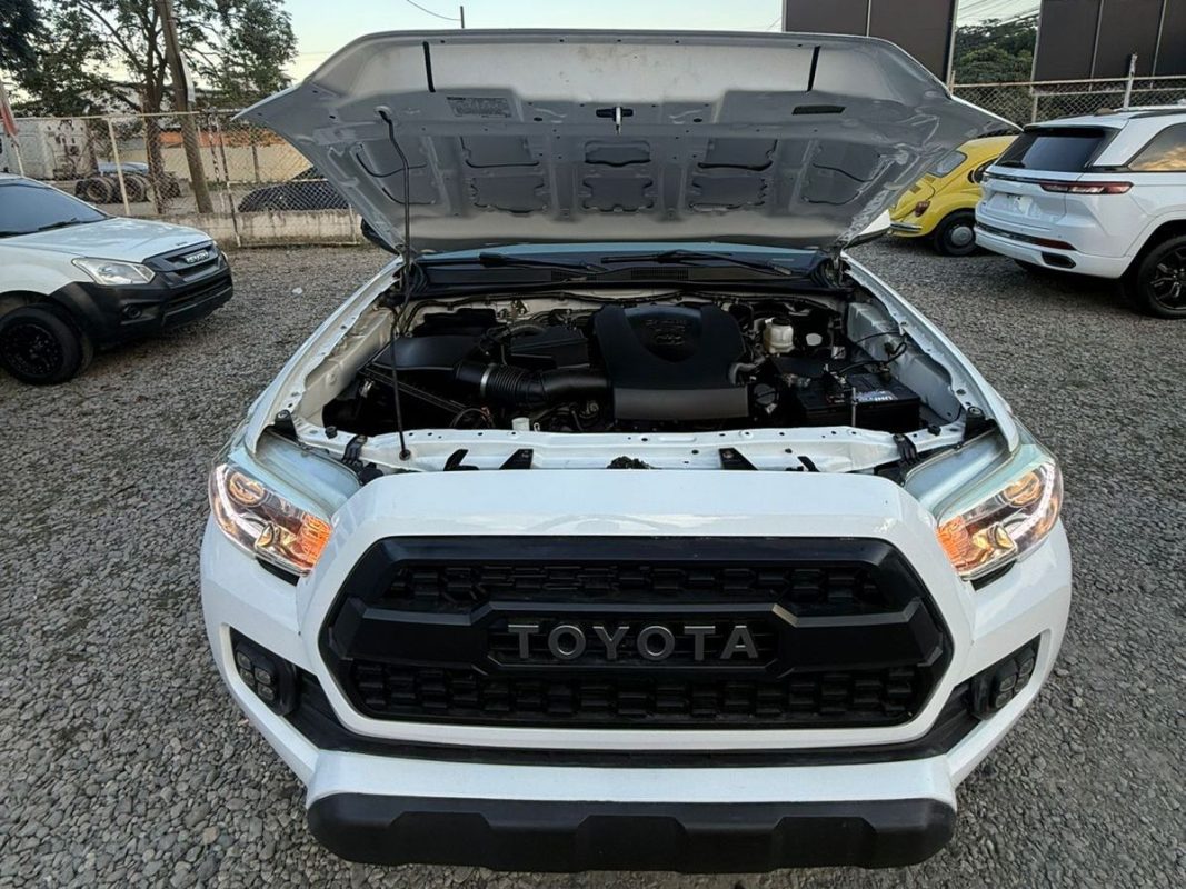 WhatsApp Image 2026-02-13 at 7.49.50 PM