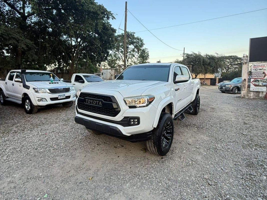 WhatsApp Image 2026-02-13 at 7.49.51 PM