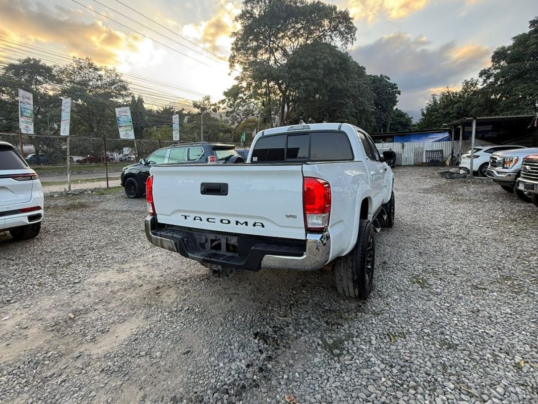 WhatsApp Image 2026-02-13 at 7.49.52 PM (1)