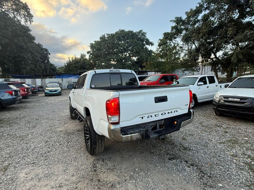 WhatsApp Image 2026-02-13 at 7.49.52 PM