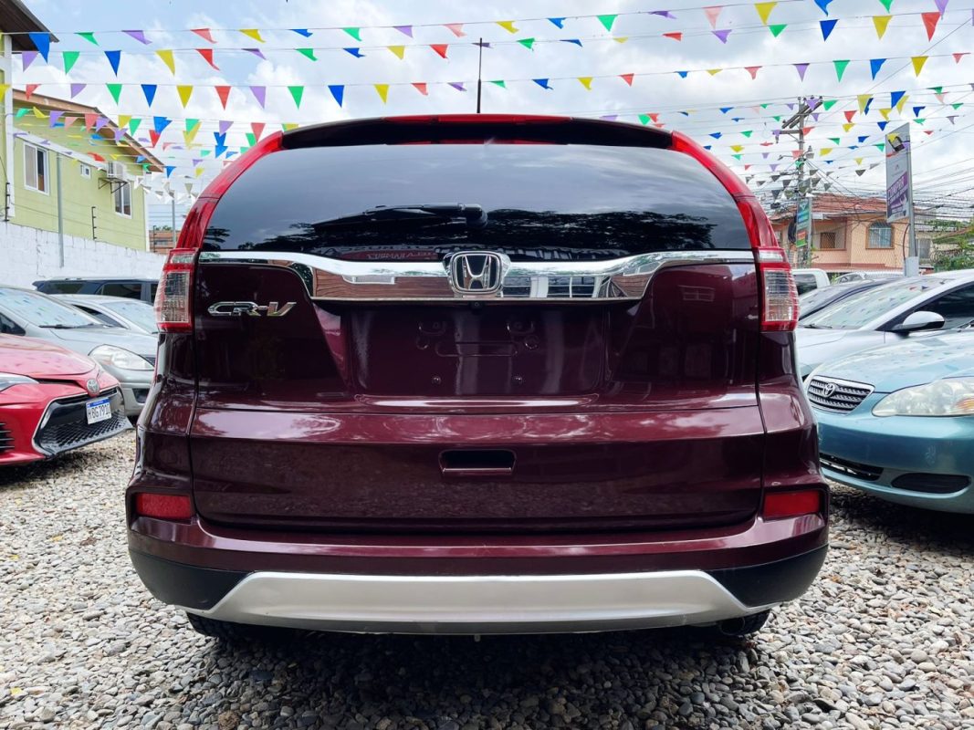 WhatsApp Image 2026-02-13 at 9.27.32 AM (3)