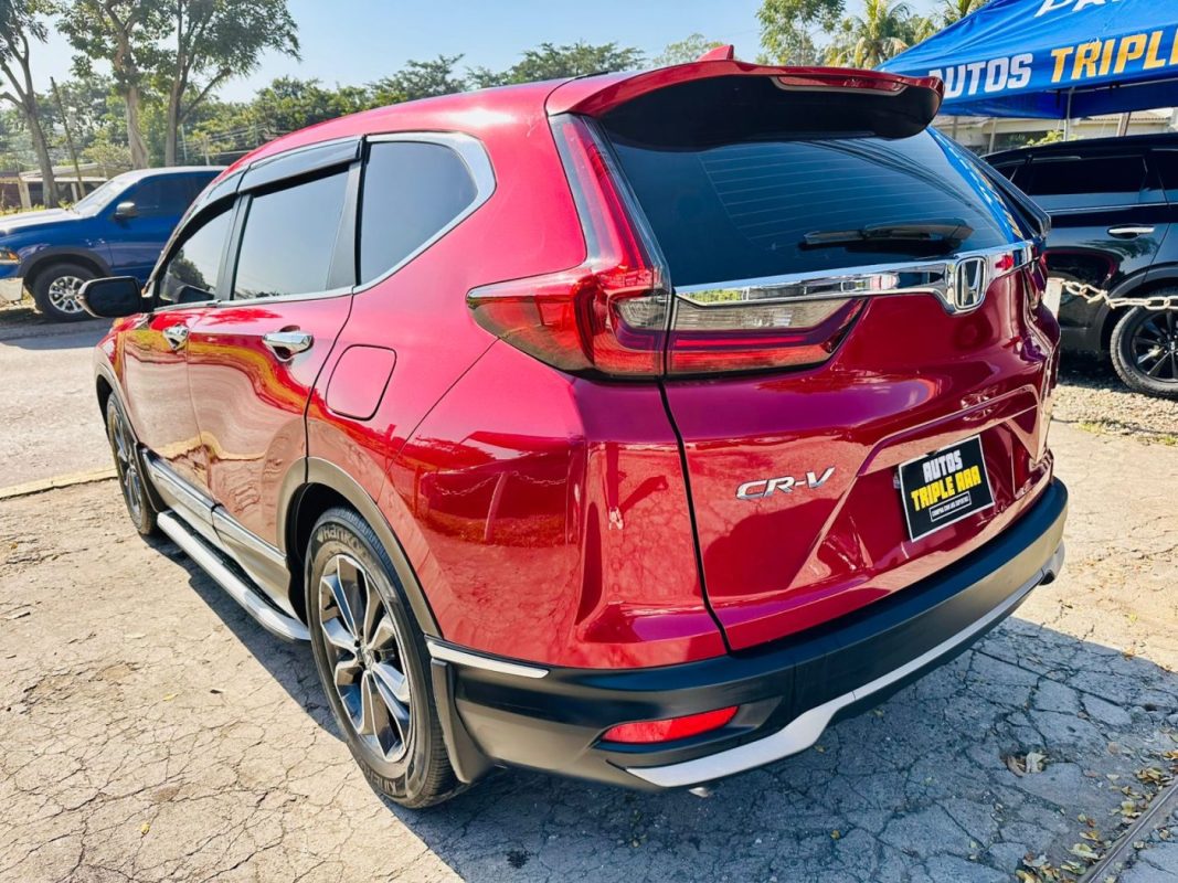 WhatsApp Image 2026-02-14 at 1.03.39 PM (3)