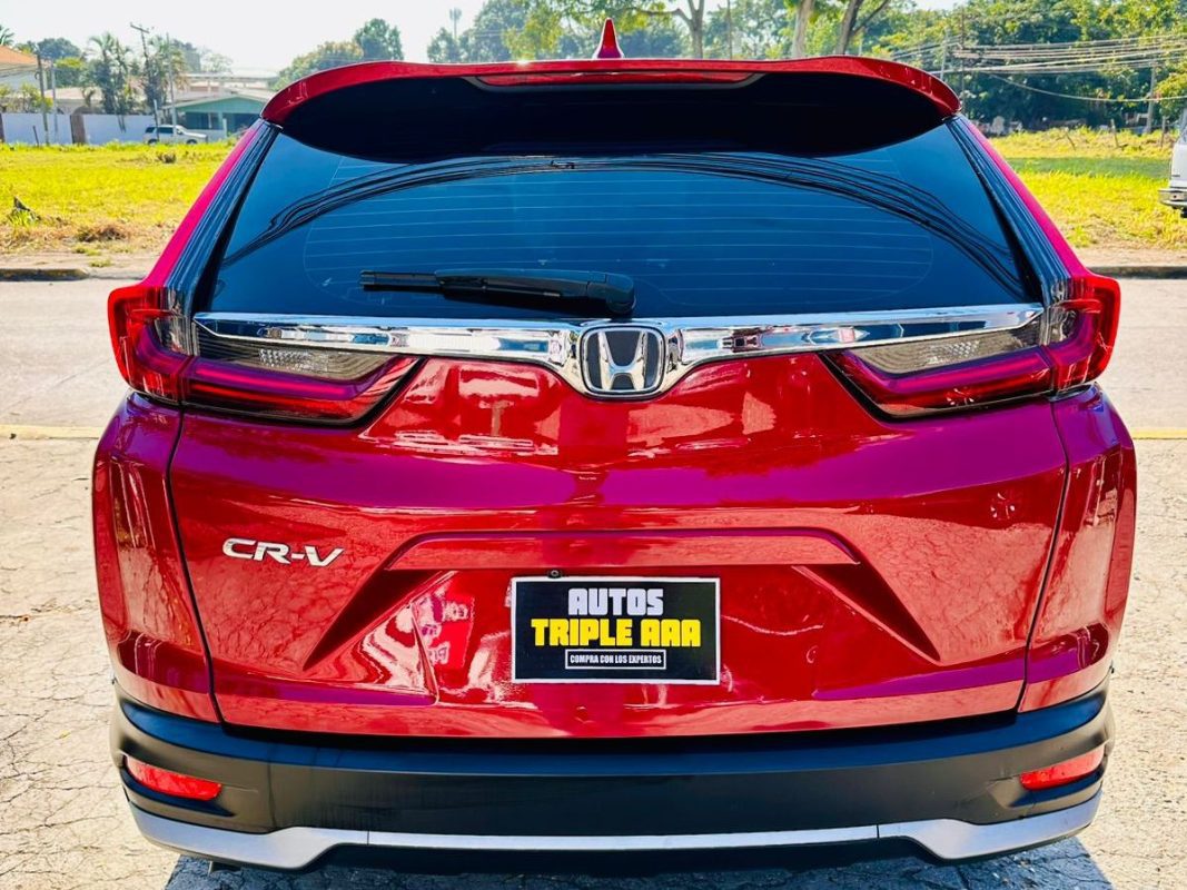 WhatsApp Image 2026-02-14 at 1.03.40 PM (1)