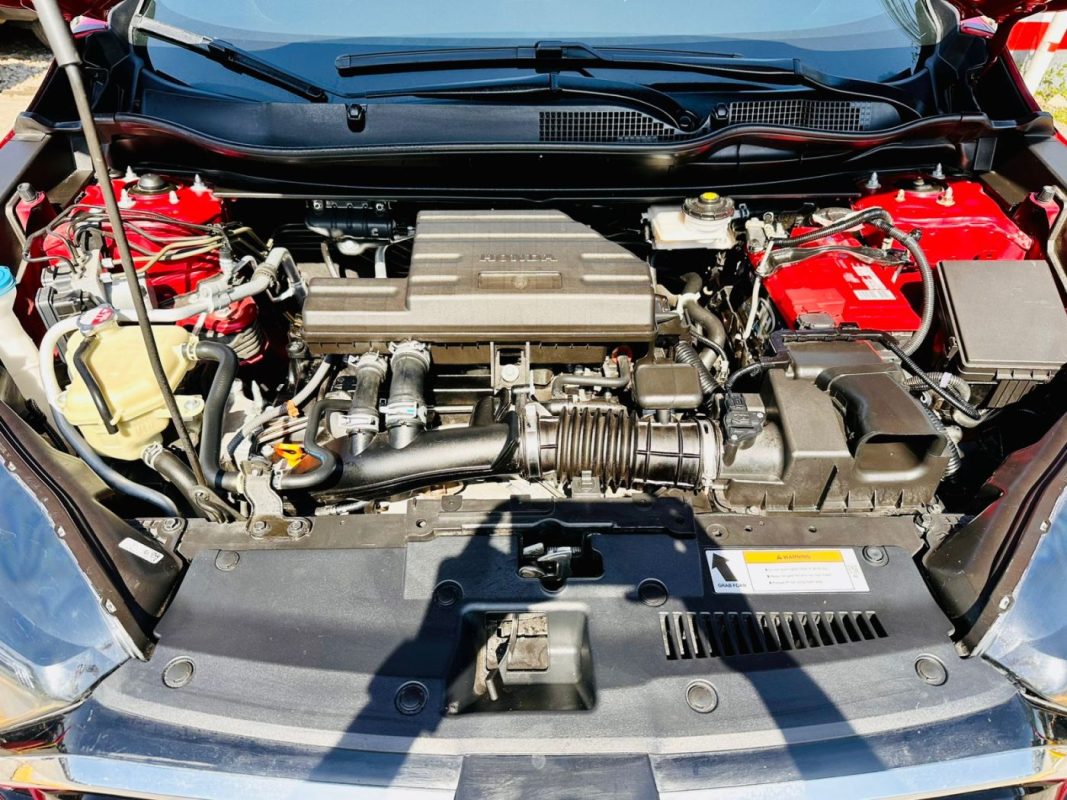 WhatsApp Image 2026-02-14 at 1.03.41 PM (3)