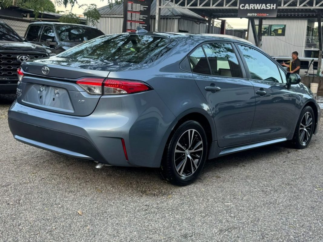 WhatsApp Image 2026-02-14 at 9.03.23 AM (3)