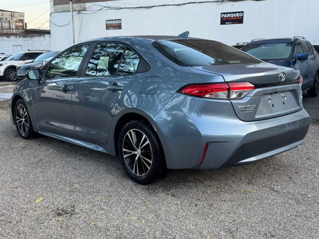 WhatsApp Image 2026-02-14 at 9.03.24 AM