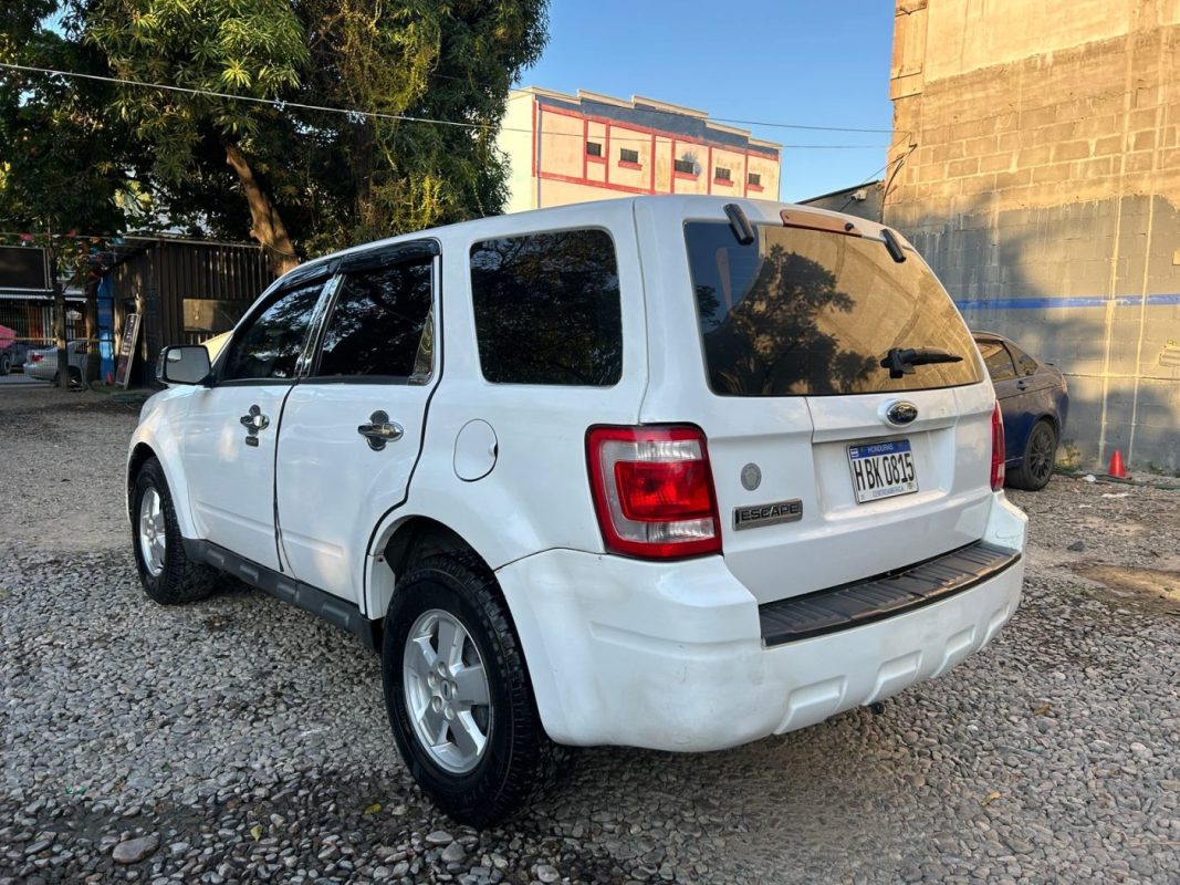 WhatsApp Image 2026-02-15 at 2.10.56 PM