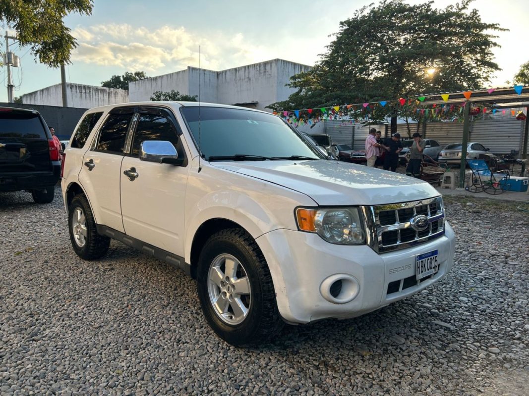 WhatsApp Image 2026-02-15 at 2.10.57 PM (2)