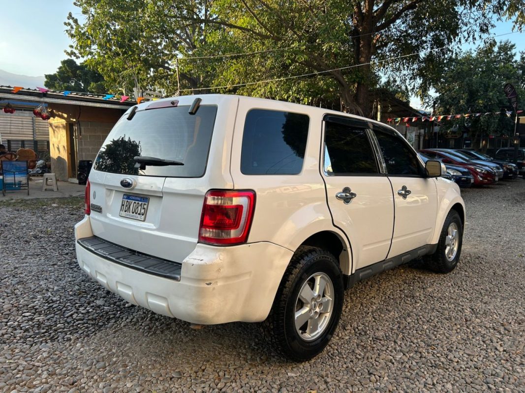 WhatsApp Image 2026-02-15 at 2.10.57 PM (3)