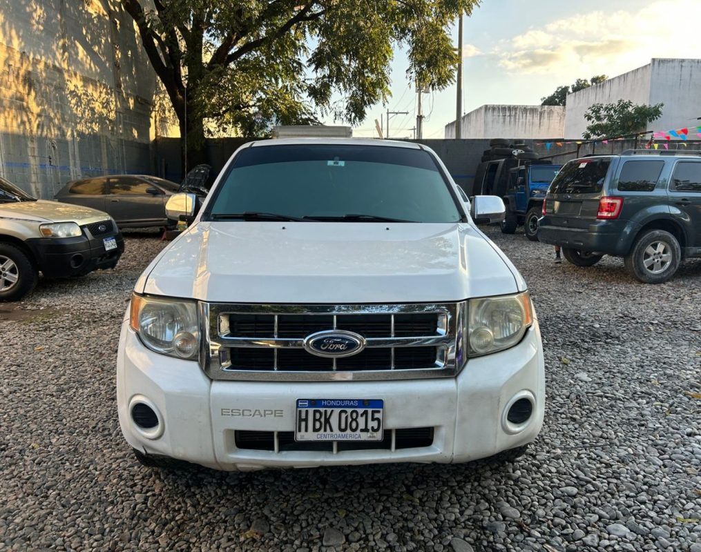 WhatsApp Image 2026-02-15 at 2.10.59 PM (1)