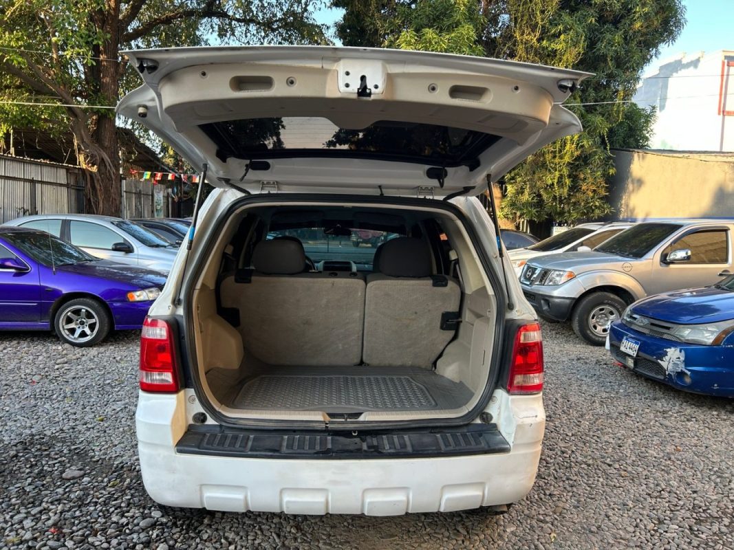 WhatsApp Image 2026-02-15 at 2.10.59 PM