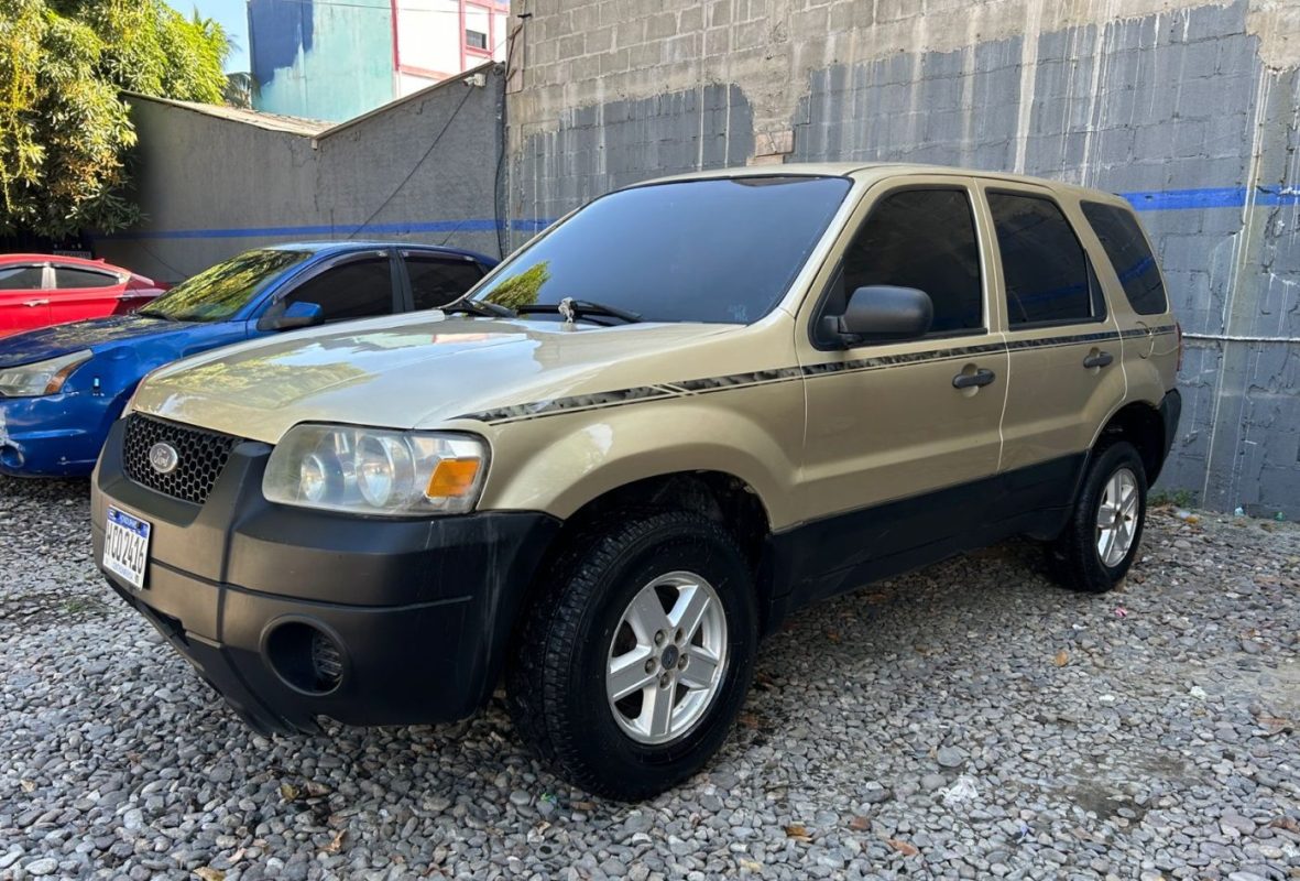 WhatsApp Image 2026-02-15 at 2.12.38 PM (1)