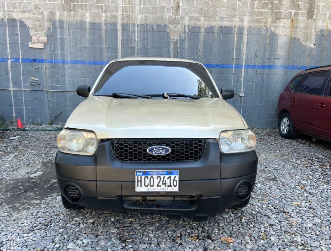 WhatsApp Image 2026-02-15 at 2.12.38 PM (5)