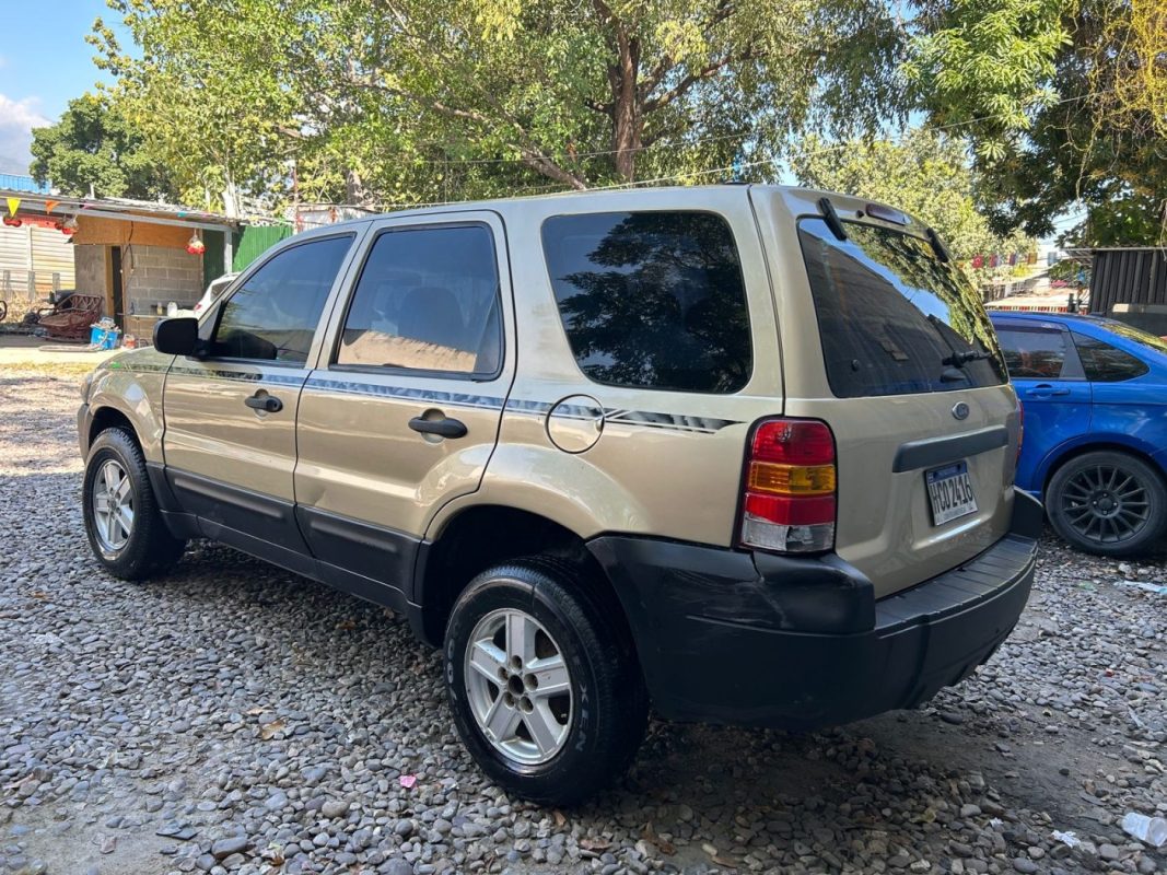 WhatsApp Image 2026-02-15 at 2.12.39 PM (2)