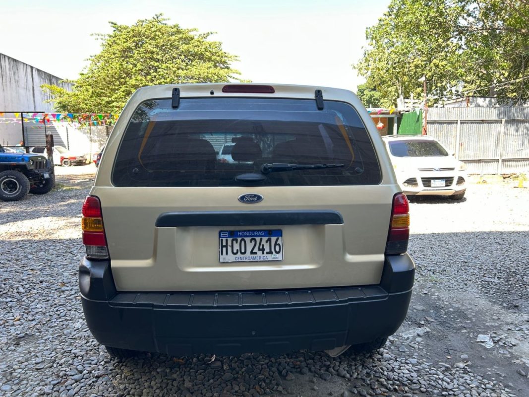 WhatsApp Image 2026-02-15 at 2.12.39 PM (5)