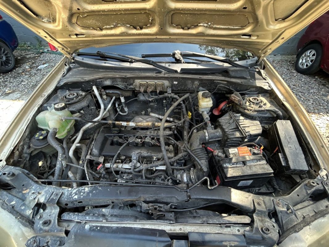 WhatsApp Image 2026-02-15 at 2.12.40 PM (2)