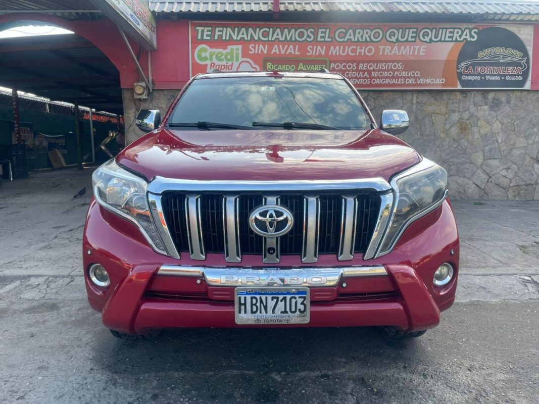 WhatsApp Image 2026-02-16 at 1.23.00 PM (1)