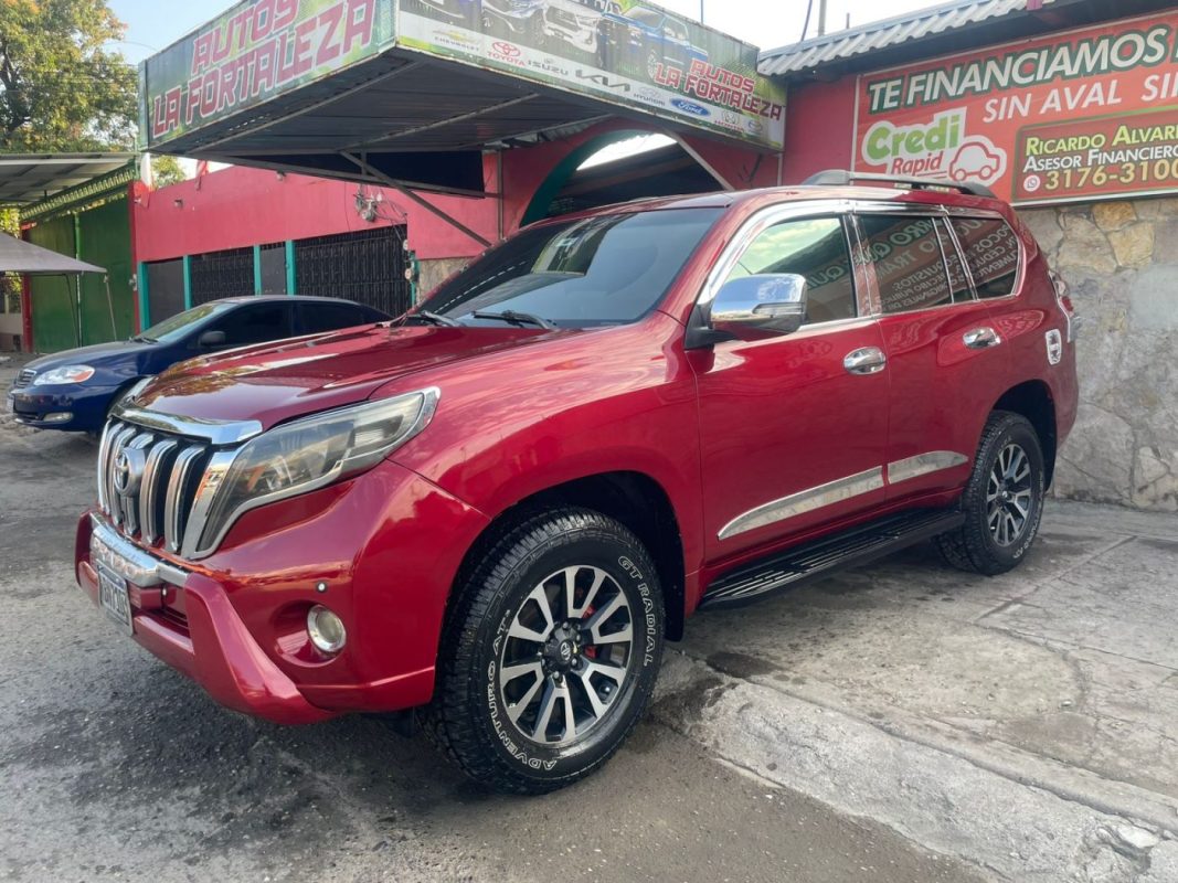 WhatsApp Image 2026-02-16 at 1.23.00 PM (2)