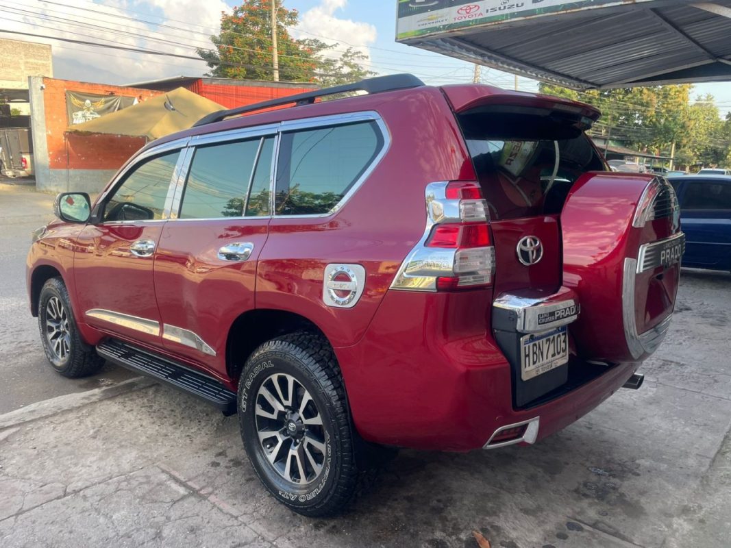 WhatsApp Image 2026-02-16 at 1.23.00 PM (3)