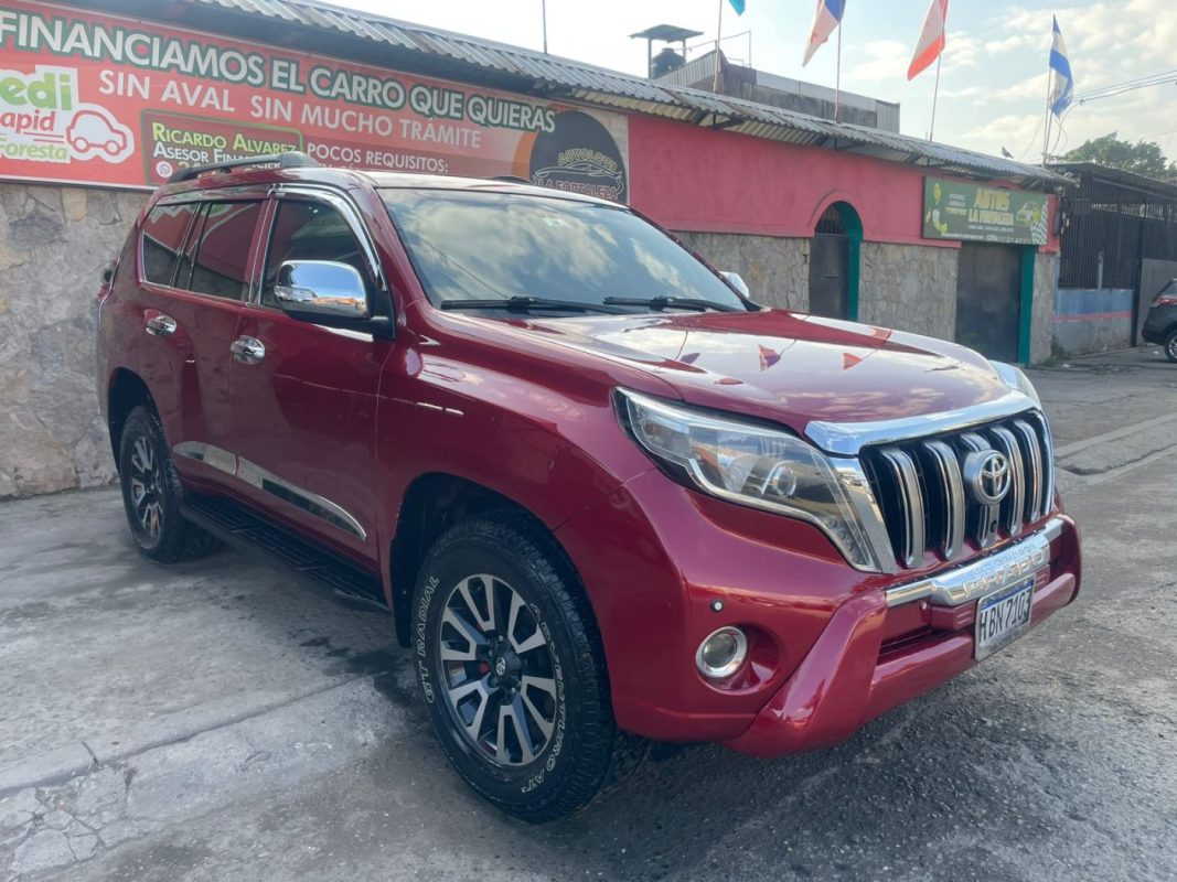 WhatsApp Image 2026-02-16 at 1.23.00 PM