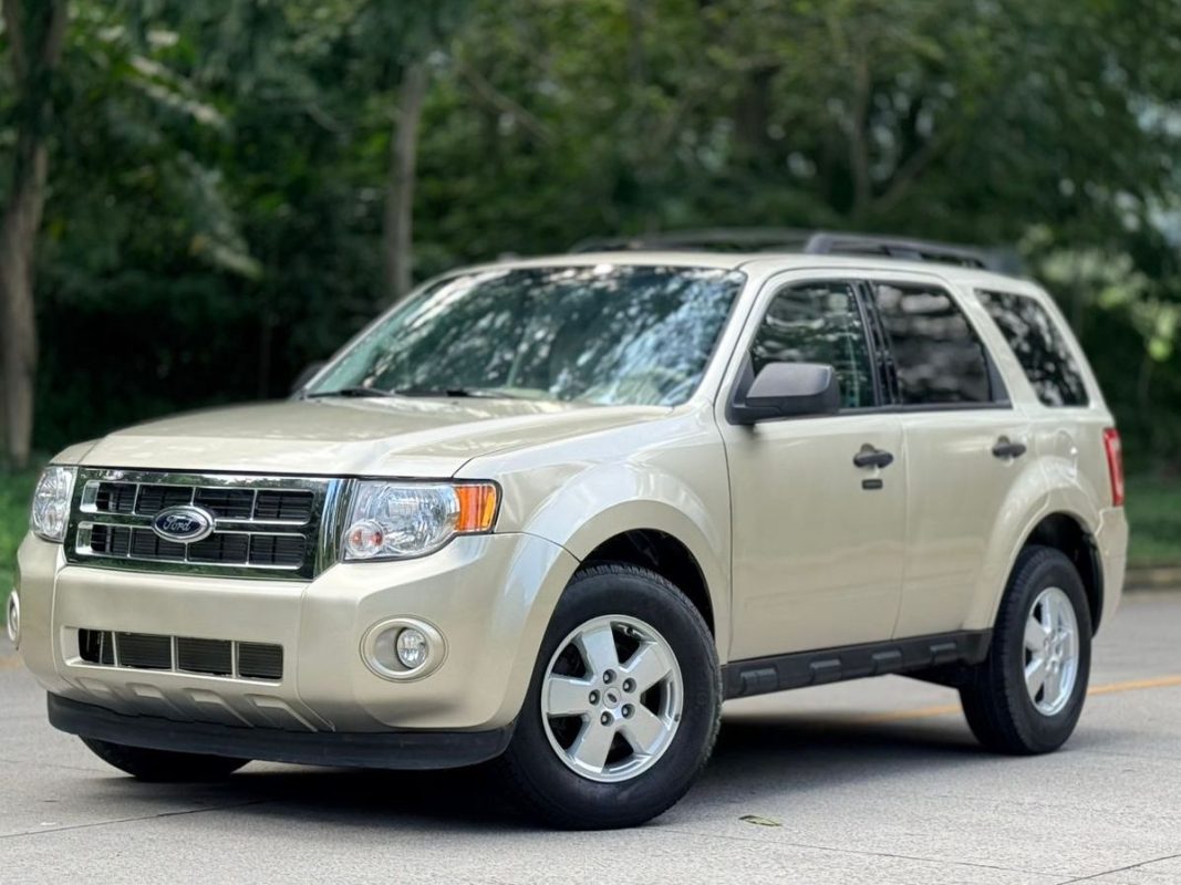 WhatsApp Image 2026-02-16 at 8.14.51 PM