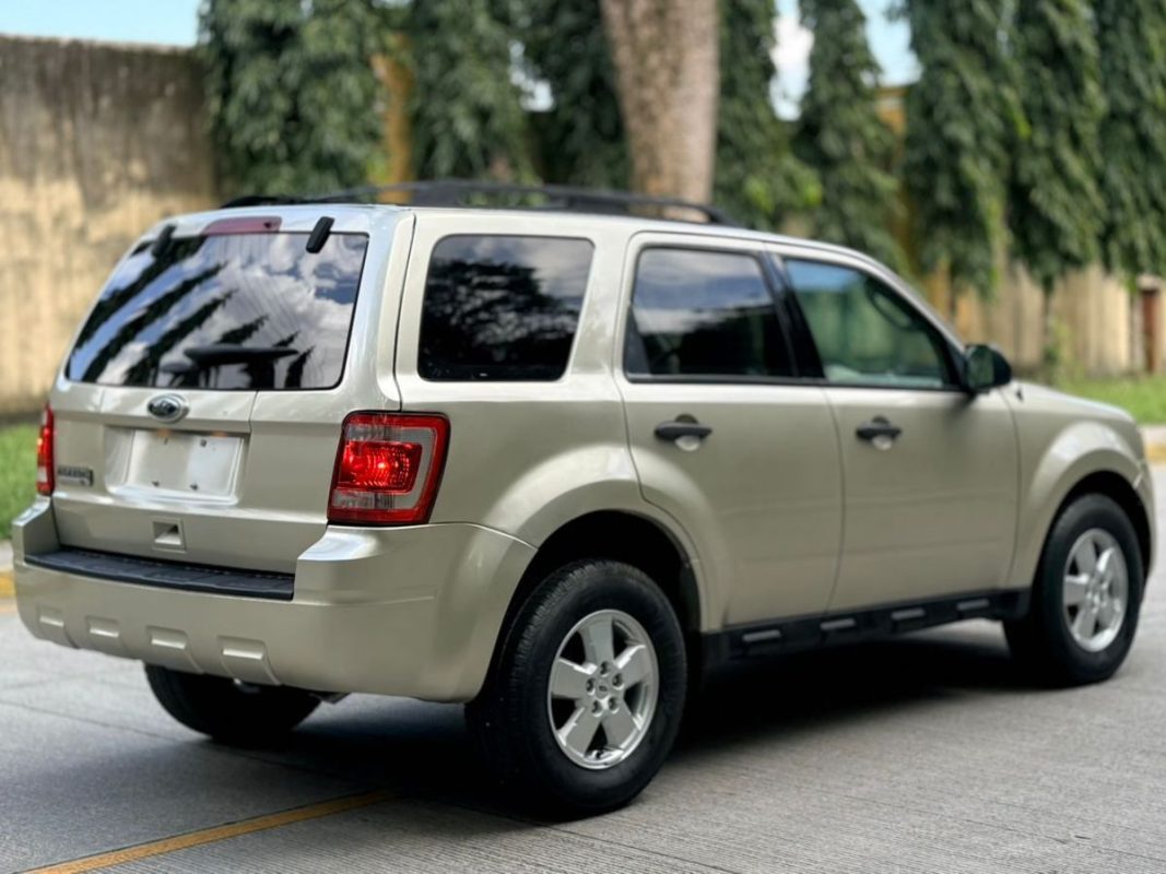 WhatsApp Image 2026-02-16 at 8.14.52 PM