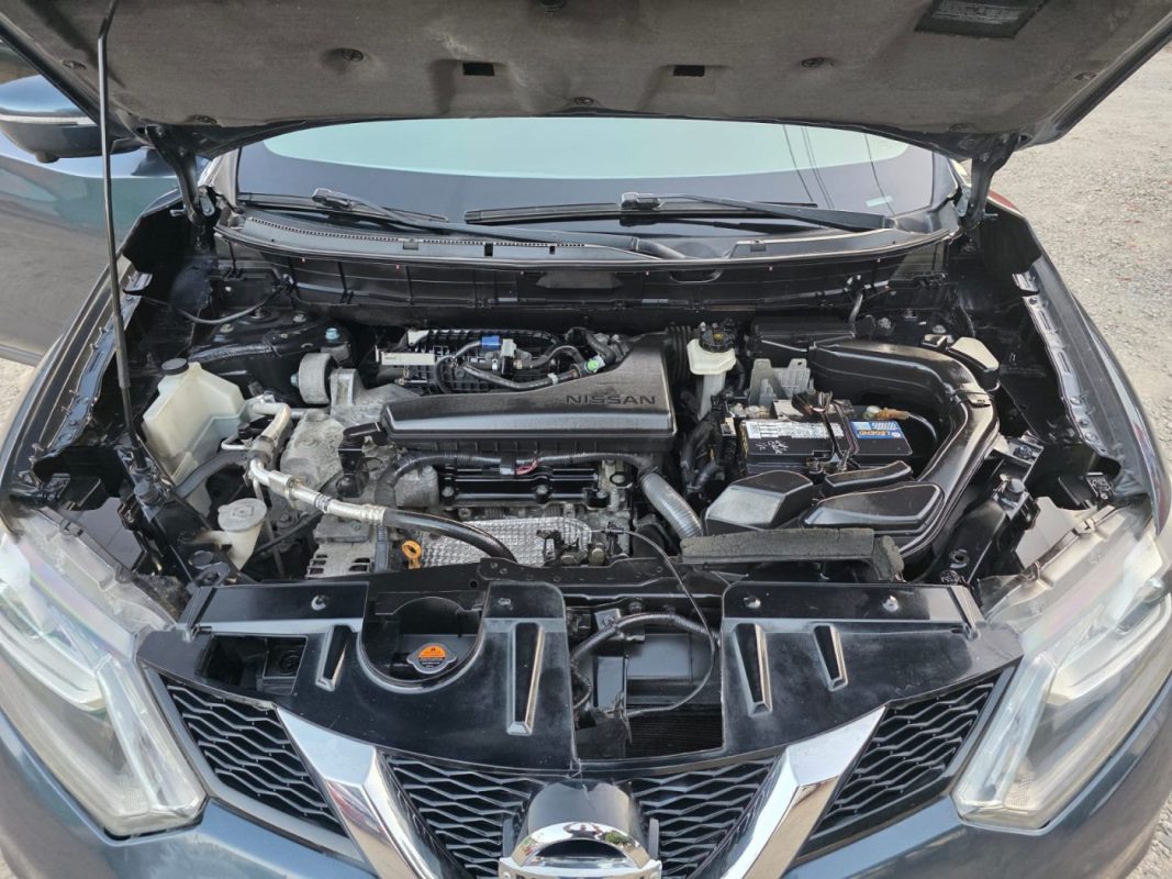 WhatsApp Image 2026-02-16 at 9.53.04 PM (1)