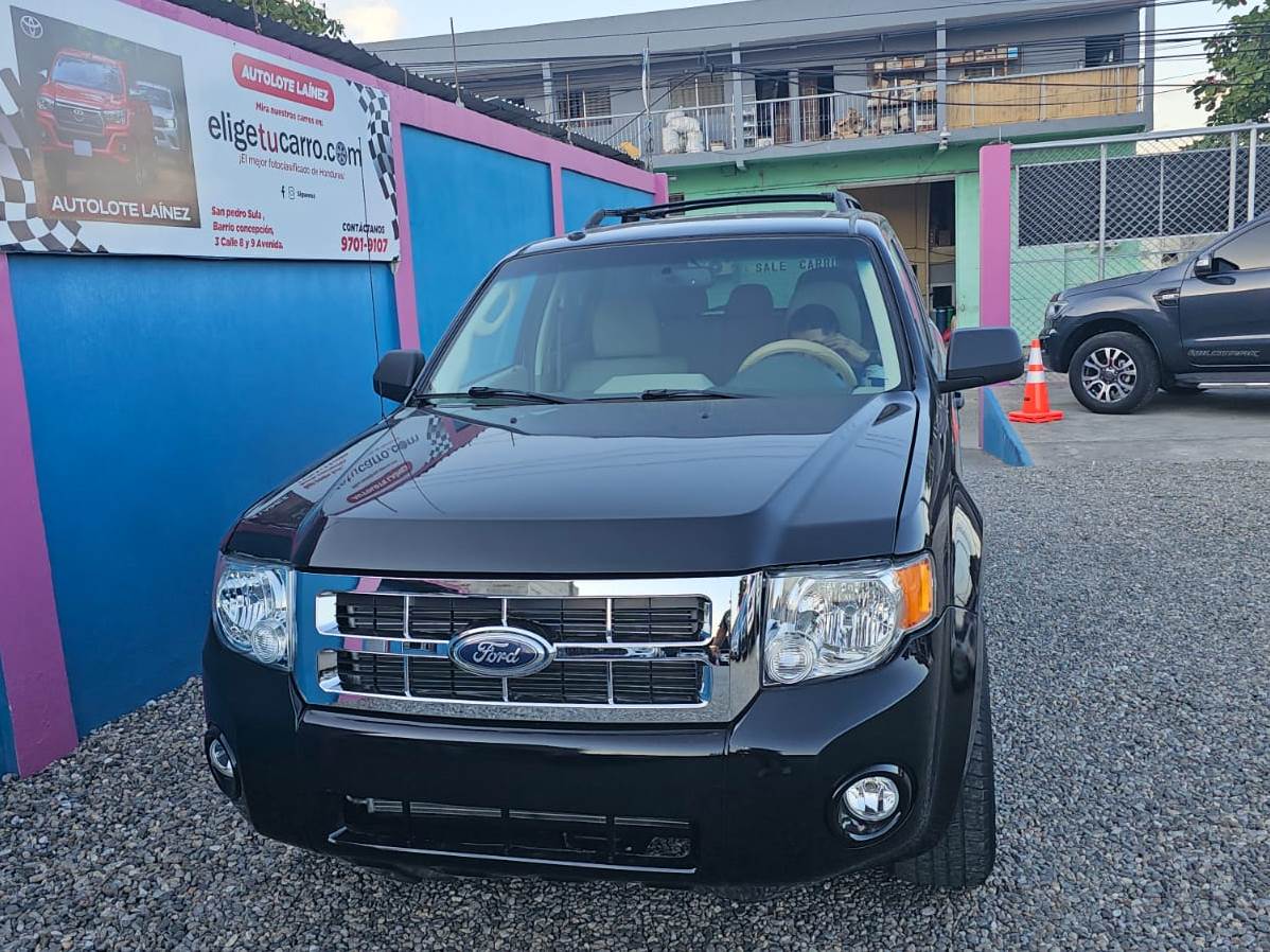 WhatsApp Image 2026-02-17 at 10.20.00 AM (1)