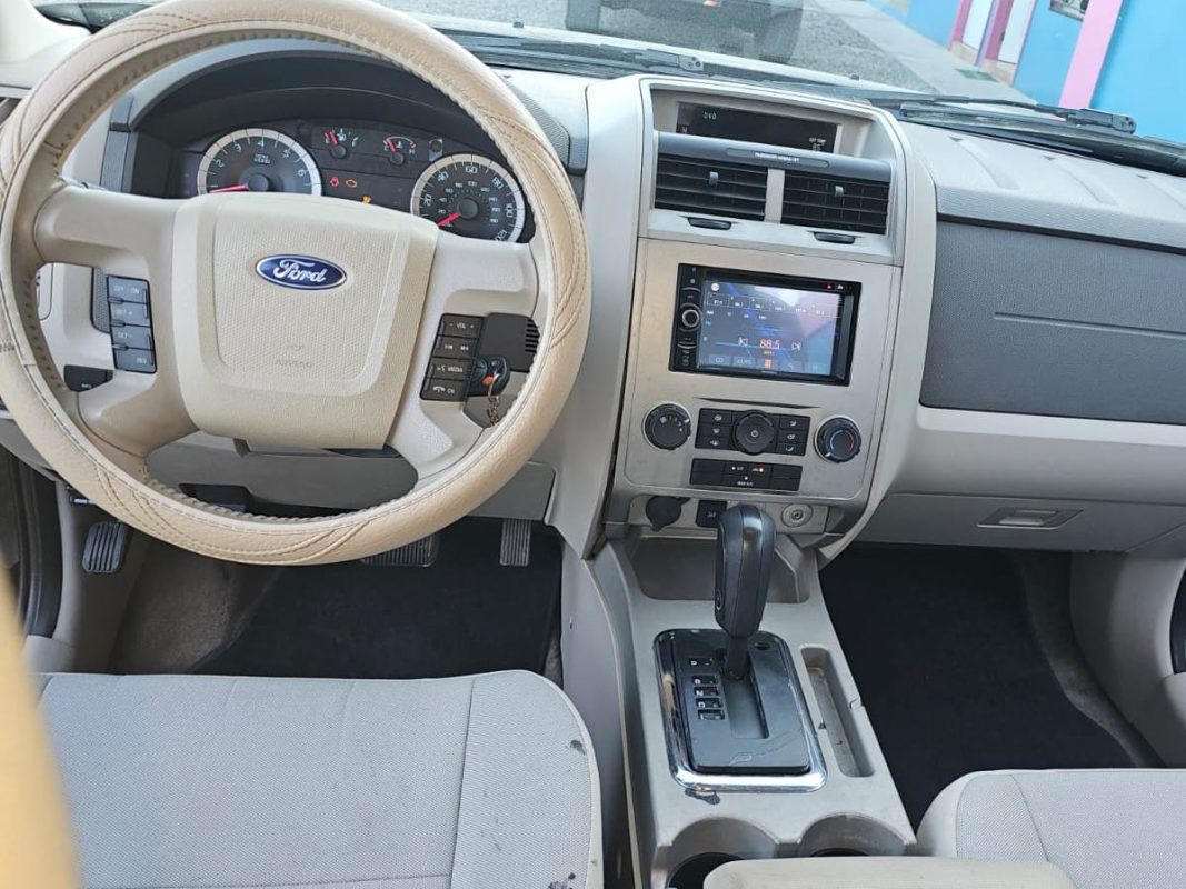 WhatsApp Image 2026-02-17 at 10.20.05 AM