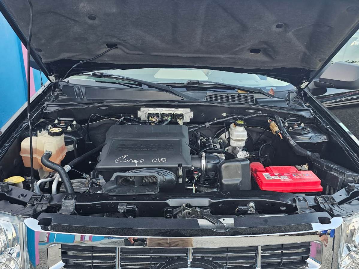 WhatsApp Image 2026-02-17 at 10.20.06 AM (1)