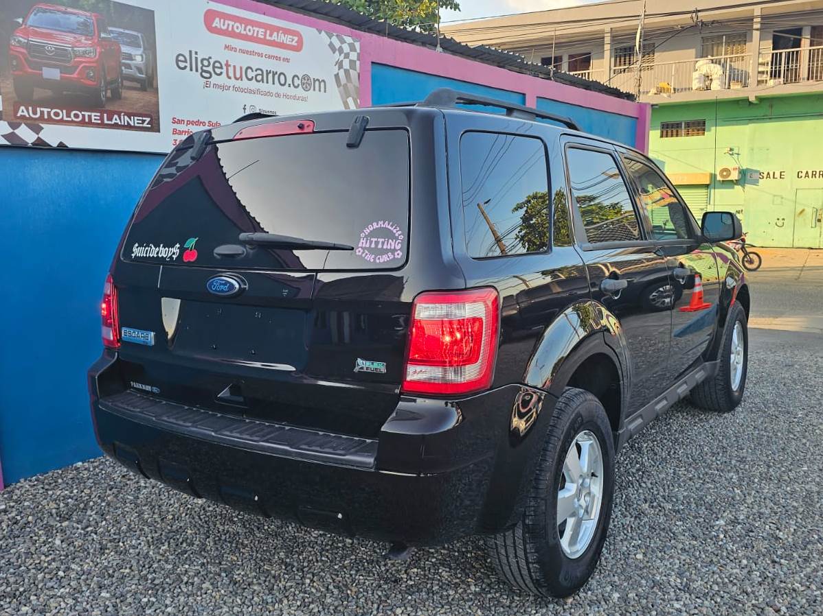 WhatsApp Image 2026-02-17 at 10.20.07 AM (1)