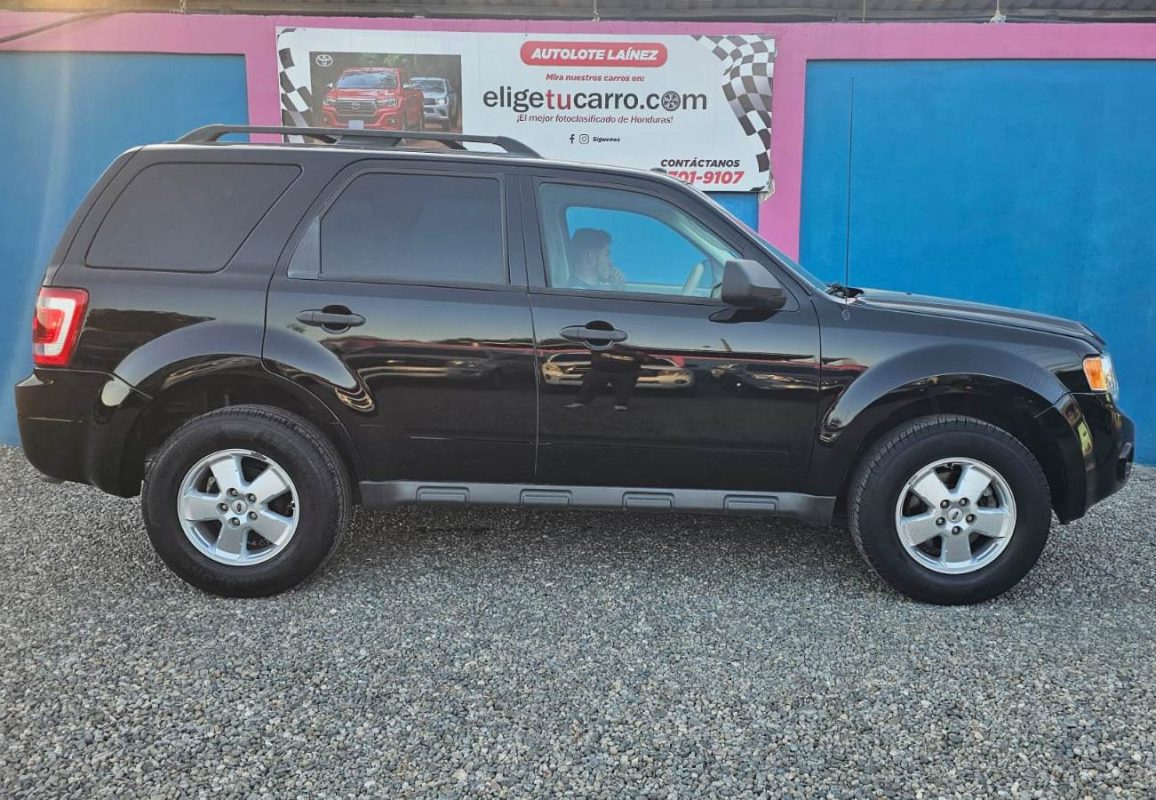 WhatsApp Image 2026-02-17 at 10.20.07 AM