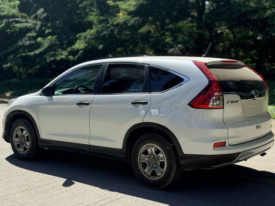 WhatsApp Image 2026-02-17 at 10.30.13 AM