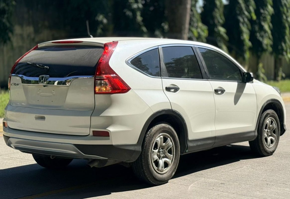 WhatsApp Image 2026-02-17 at 10.30.14 AM (1)