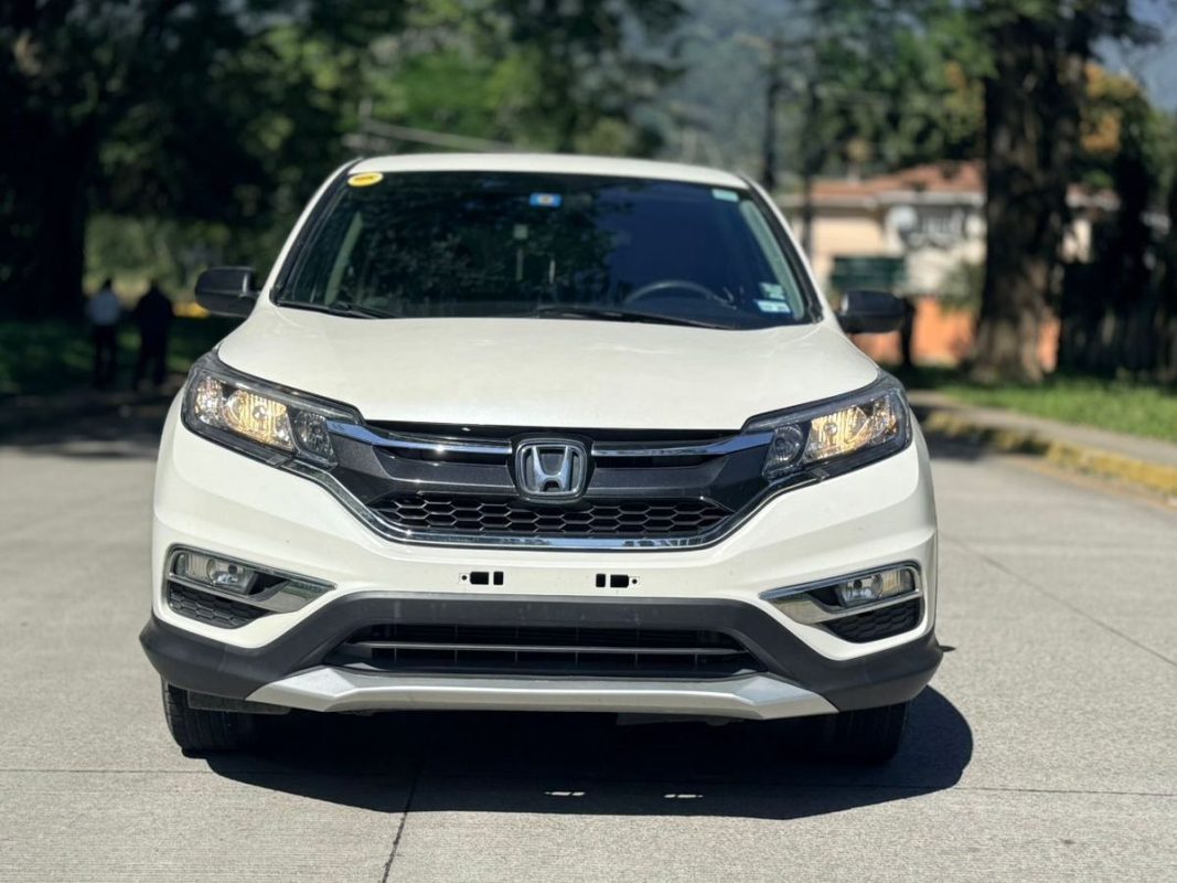 WhatsApp Image 2026-02-17 at 10.30.14 AM