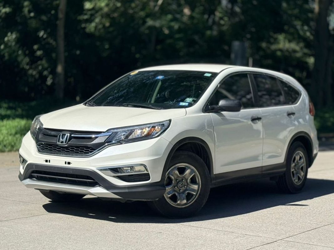 WhatsApp Image 2026-02-17 at 10.30.15 AM (1)