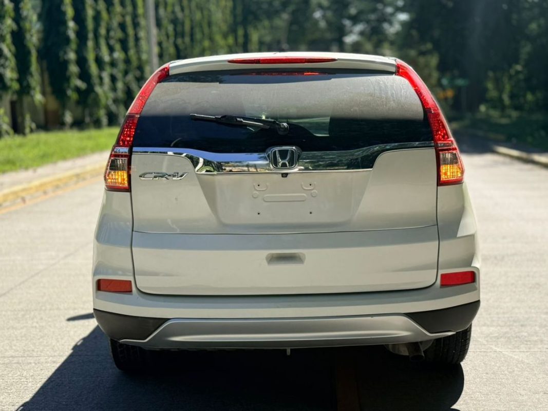 WhatsApp Image 2026-02-17 at 10.30.15 AM (2)