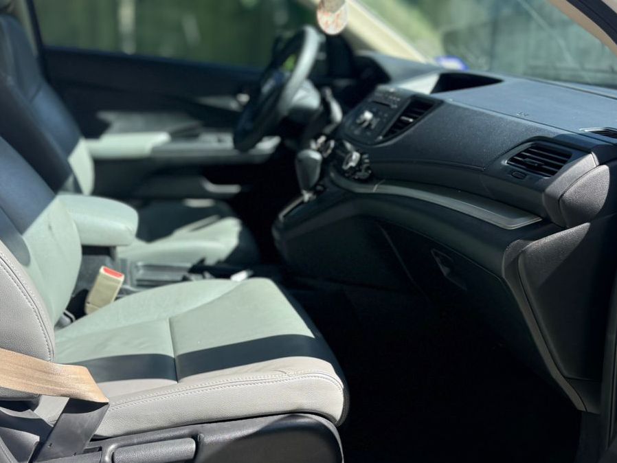 WhatsApp Image 2026-02-17 at 10.30.16 AM