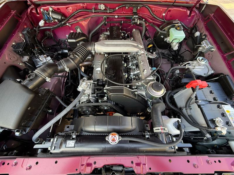 WhatsApp Image 2026-02-17 at 4.23.29 PM (3)