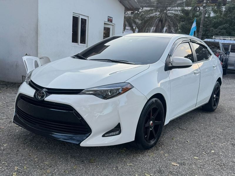 WhatsApp Image 2026-02-17 at 6.05.57 PM