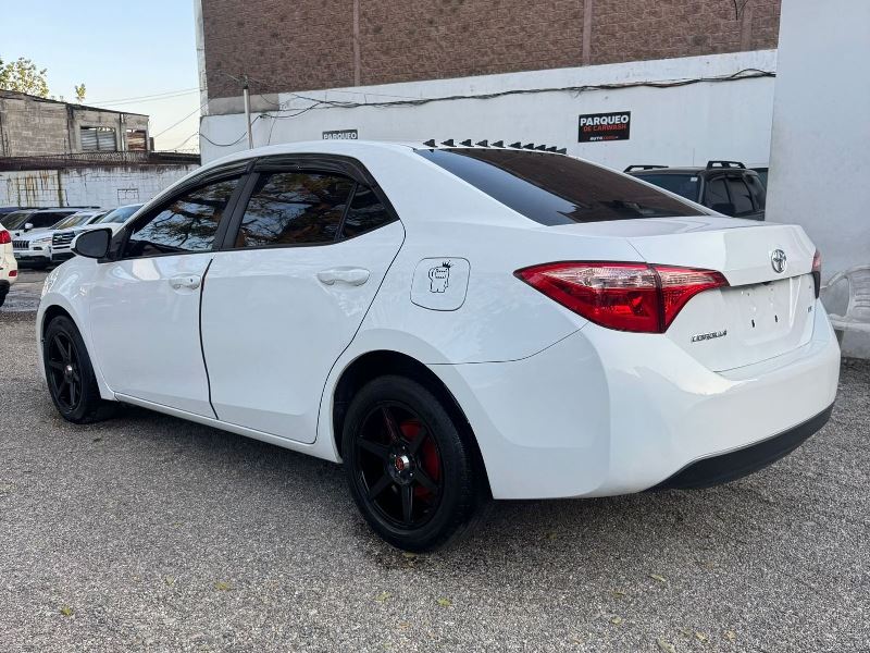 WhatsApp Image 2026-02-17 at 6.05.58 PM (1)