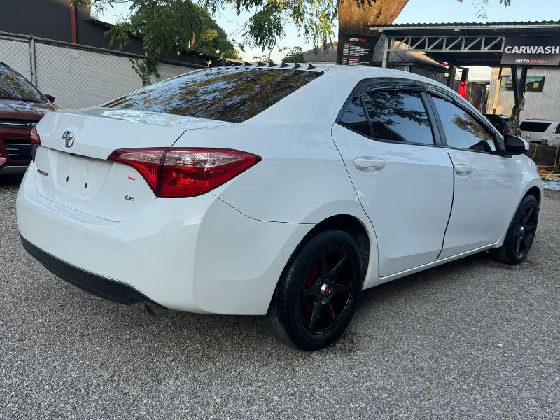 WhatsApp Image 2026-02-17 at 6.05.58 PM (2)