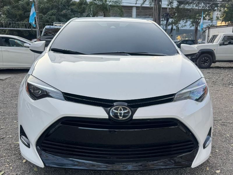 WhatsApp Image 2026-02-17 at 6.05.58 PM