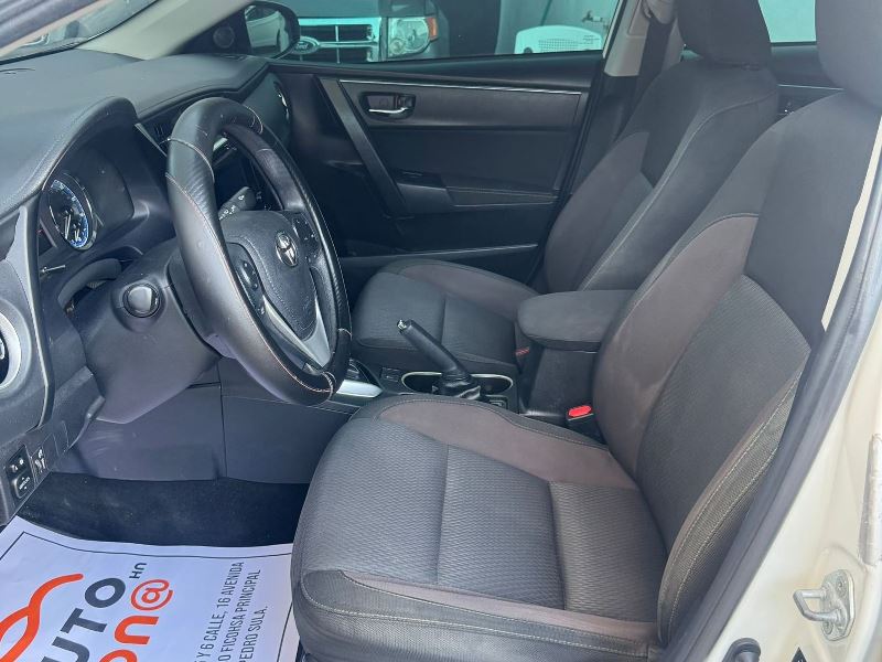 WhatsApp Image 2026-02-17 at 6.05.59 PM